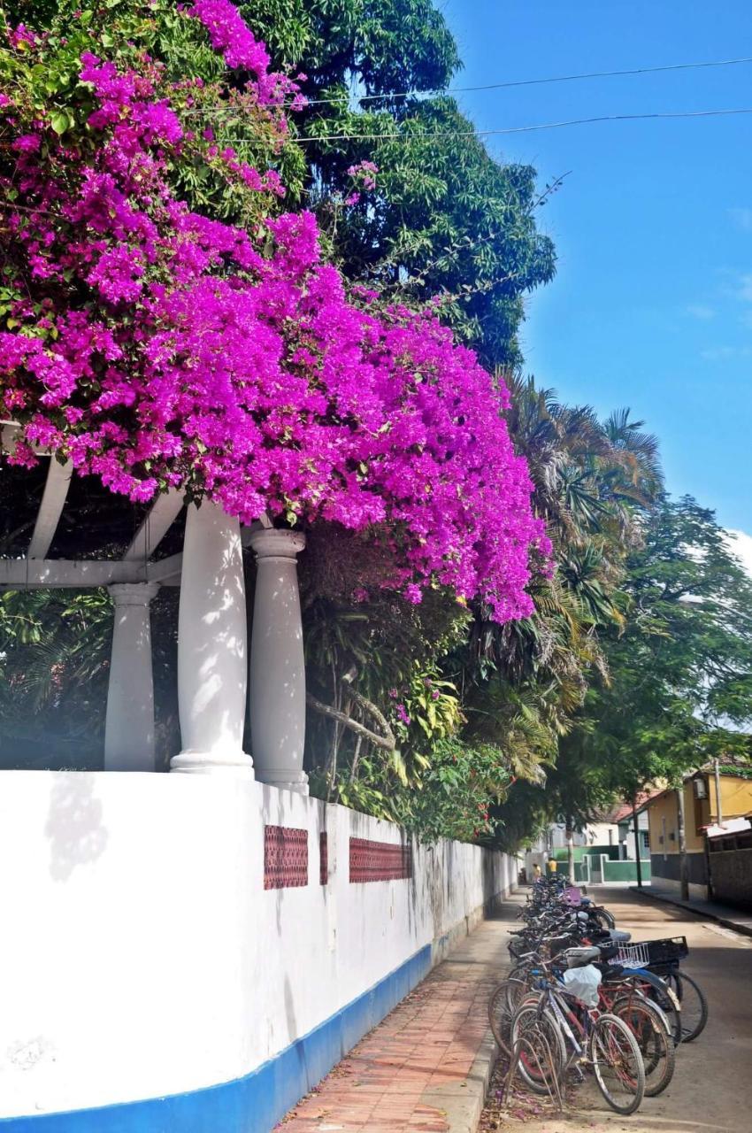Bed and Breakfast Casa Da Coruja Rio de Janeiro Exteriér fotografie